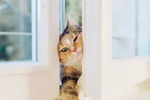 5 Trends Putting the Squeeze on Surgical Practices