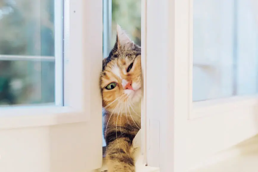 5 Trends Putting the Squeeze on Surgical Practices