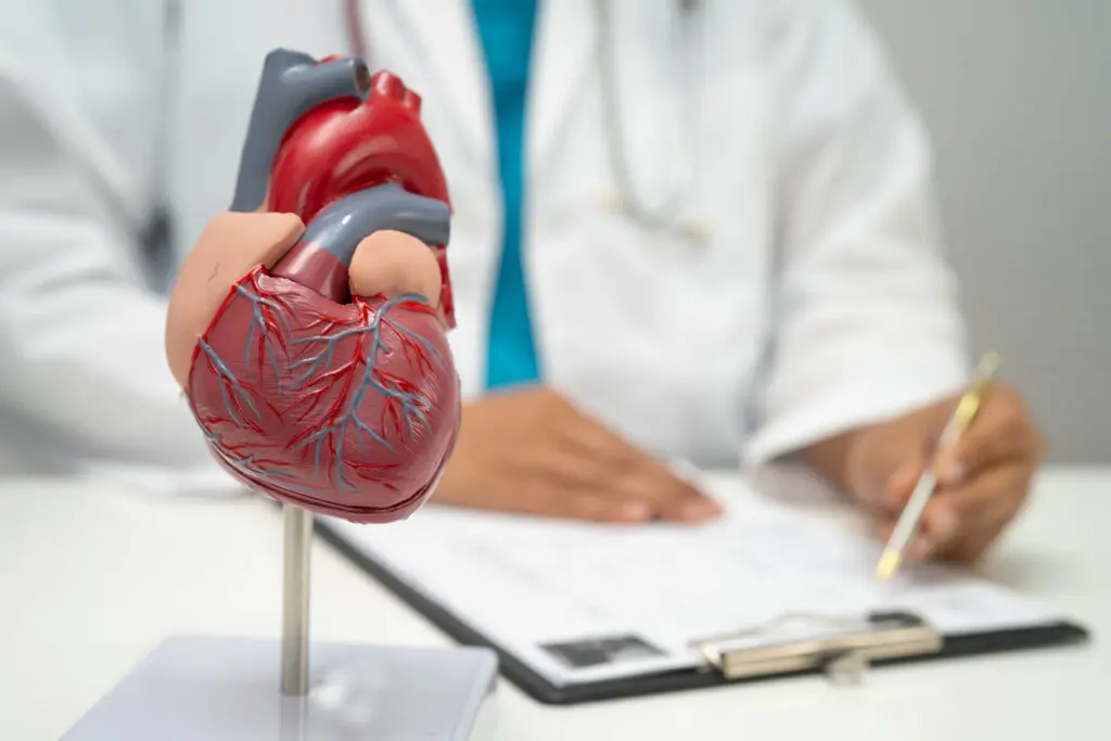 A detailed anatomical model of a human heart on a stand sits on a desk, as a doctor in a white coat writes notes—likely conducting heart failure functional status assessment or recording KCCQ heart failure reporting in the background.