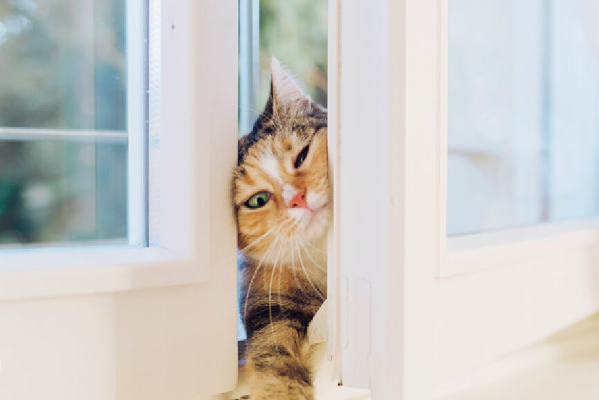 5 Trends Putting the Squeeze on Surgical Practices